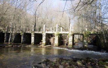 Pontes do Lérez. Ponte Carballa